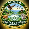 PW&PD